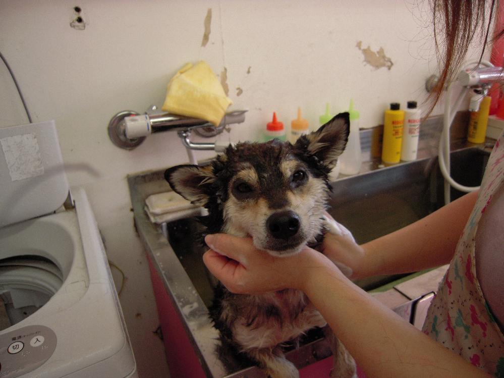 バブルバス 007.jpg